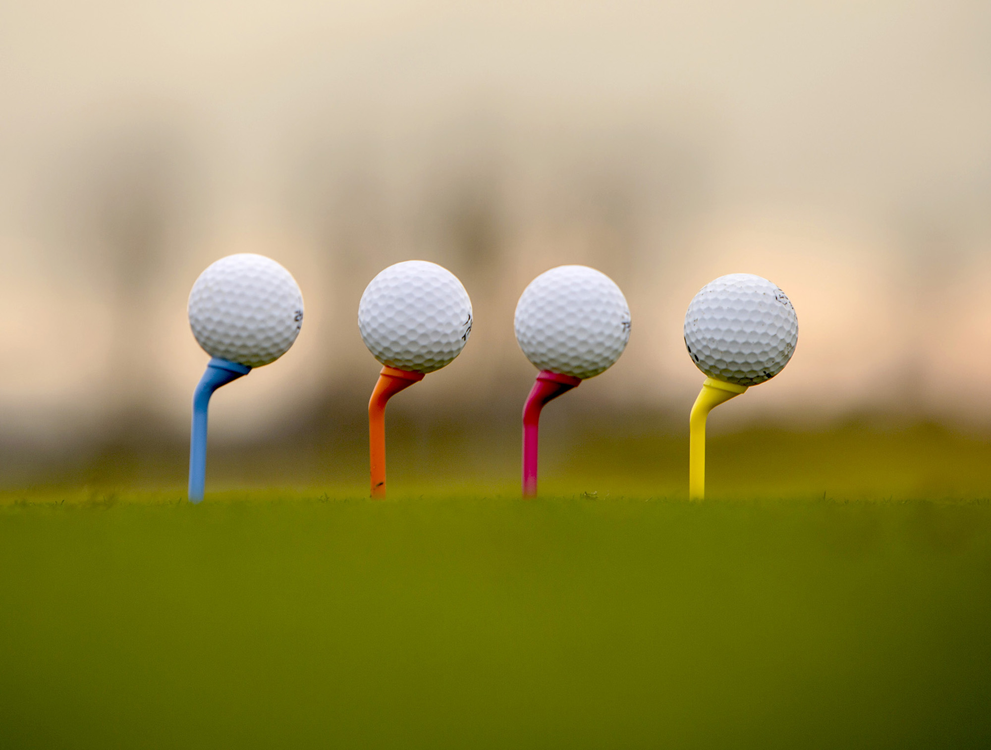 Golf Joy Tee i fyra färger